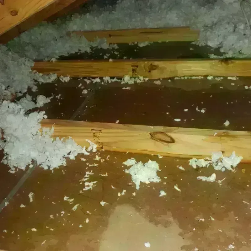 Attic Water Damage in Clearwater, KS