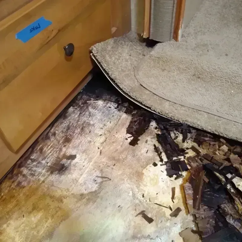 Wood Floor Water Damage in Clearwater, KS